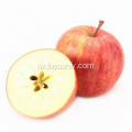 איכות גבוהה טריים תפוח חדש תפוח פוג &#39;י
